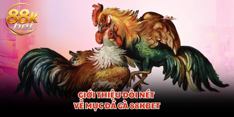 Giới thiệu đôi nét về mục đá gà 88KBET