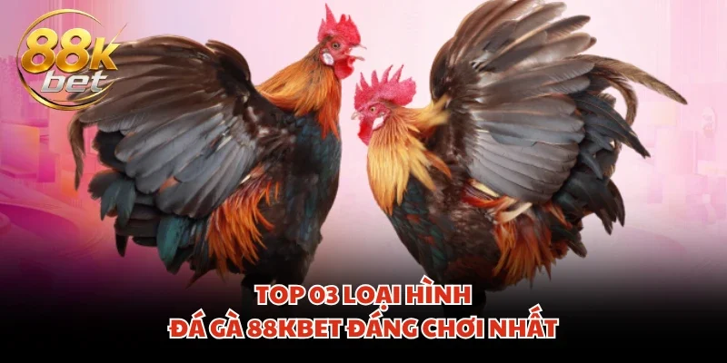 Top 03 loại hình đá gà 88KBET đáng chơi nhất